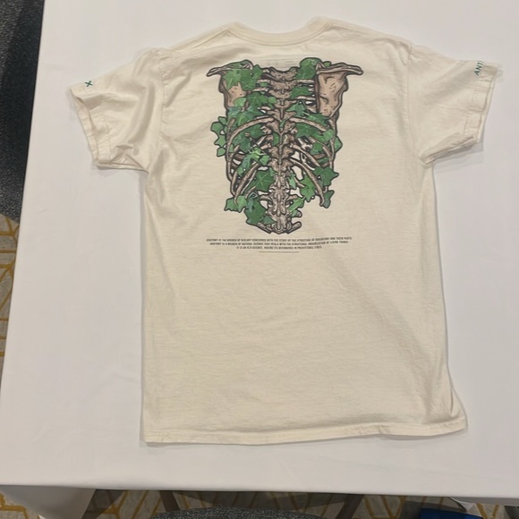 ANTMY Beige Nature T-Shirt - Picture 4 of 4